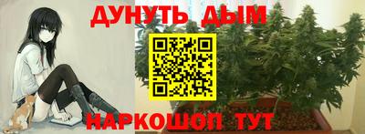 каннабис Кунгур